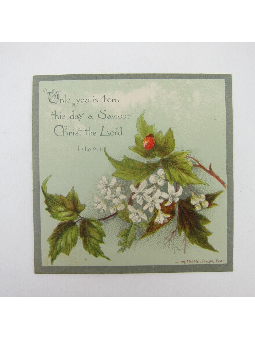 Victorian Greeting Card Easter Ladybug Green Leaves White Flowers Antique 1884